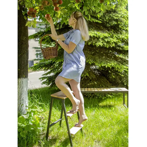 Стремянка малая Лофт бесцветный лак (ARG) 