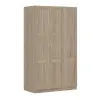 Шкаф трехстворчатый Пегас 3 двери (сборные), сонома (GL)